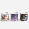 Johnny Was Fine Set Of 3 Votive Candles Multi