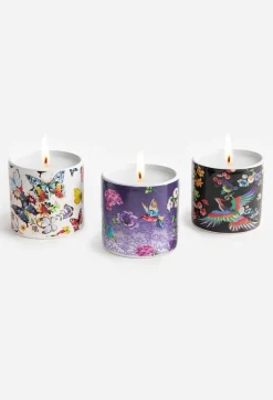 Johnny Was Fine Set Of 3 Votive Candles Multi