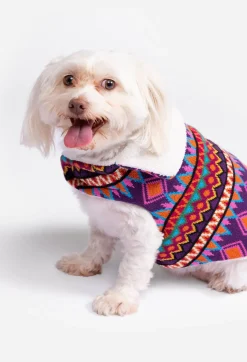Hot Johnny Was Reversible Dog Vest Yuya