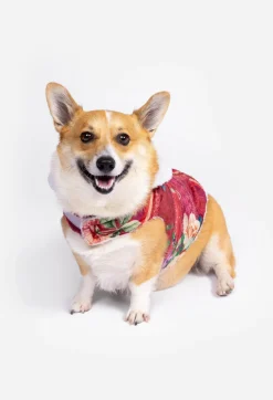 Johnny Was Sherpa Pet Jacket Bethia