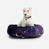 New Johnny Was Small Dog Bed Celestin
