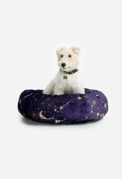 New Johnny Was Small Dog Bed Celestin