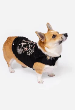 Online Johnny Was Valentina Embroidered Denim Pet Jacket Black