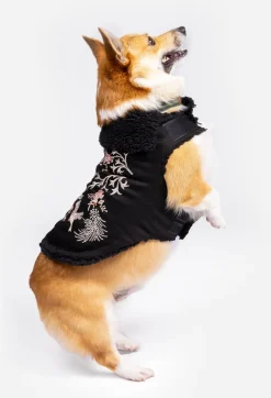 Online Johnny Was Valentina Embroidered Denim Pet Jacket Black