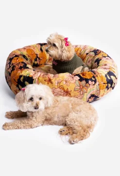 Clearance Johnny Was Wonder Years Large Dog Bed Wonderyears