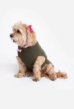Best Johnny Was Zuzu Embroidered Dog Sweater Black